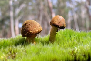 世界举重康复远程会诊服务扩展至基层，世界举重协会