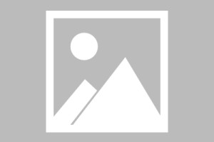 世界举重青年联赛赛后技术分析报告公开发布，举重世界锦标赛